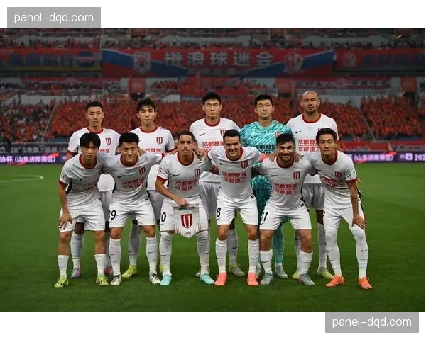 2025足协杯决赛复盘：山东泰山绝杀上海海港夺冠的战术细节